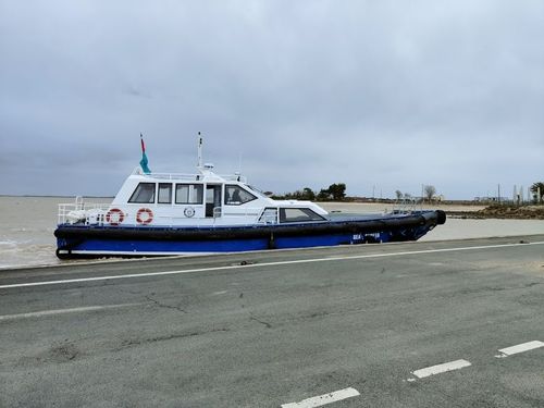 Le sea surfer