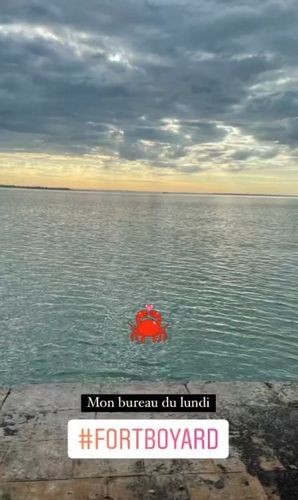 Vue depuis les fenêtres du 1er étage