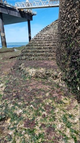 Le fort à marrée basse