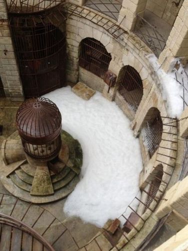 Merci d'être avec moi pour ce LT!BONUS cadeau. Quand la laverie a un problème,les tigres s'adoucissent #fortboyard