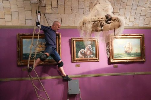 Guillaume Aldebert dans le Museum