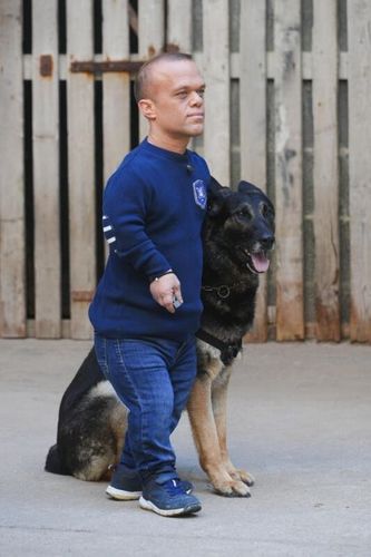 Passe Muraille et un chien