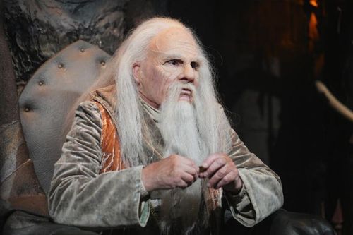 Portrait du Père Fouras au Conseil