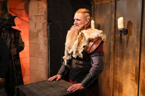 Portrait du Viking