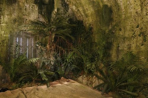 La Salle des Tortures envahie de végétation