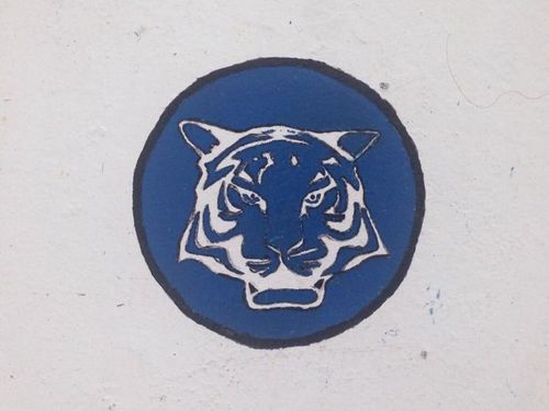 Une tête de tigre bien mystérieuse !