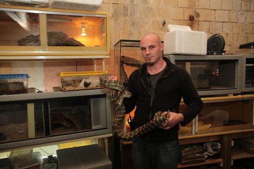 Coulisses : Denis Lebon, animalier