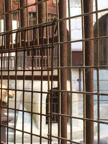 Une vue derrière une des grilles de la Salle du Trésor