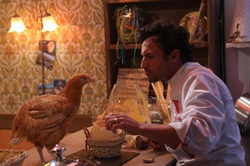 Willy Rovelli