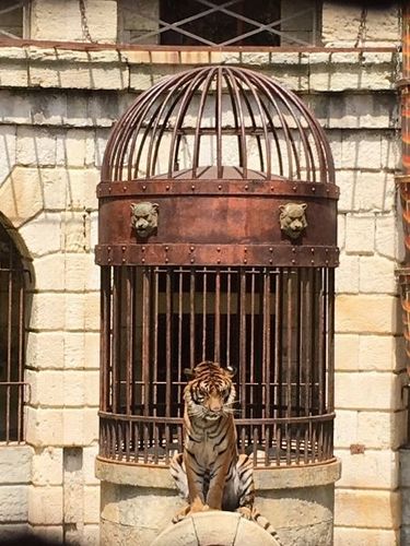 #FortBoyard 
Jour 10.