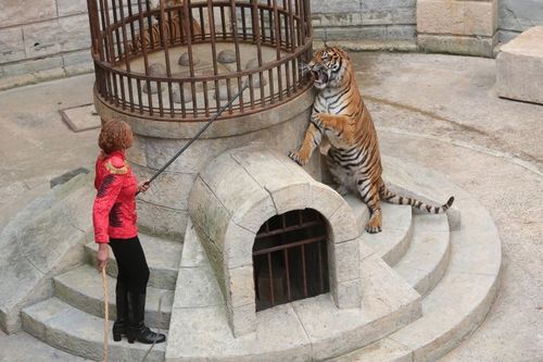 Félindra et une de ses tigresses