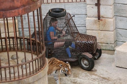 Clio Pajczer dans l'aventure du Safari