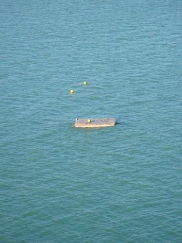 La barge au loin vue de la vigie