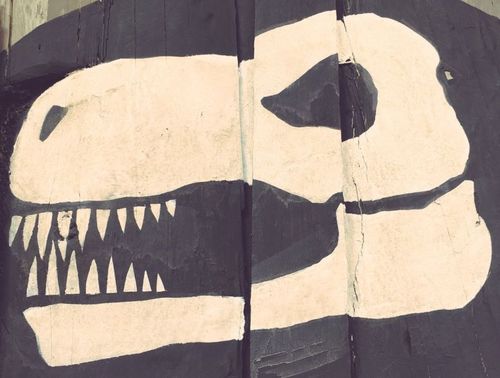 Profitez de ce jour férié pour décomposer la #photodujour #fortboyard