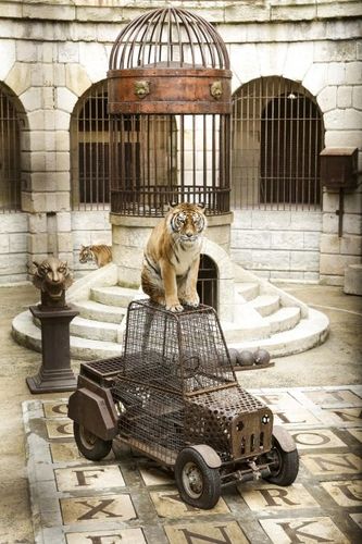 La voiturette de l'épreuve du safari. Deux pneus sont crevés !