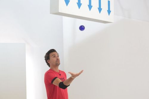 Bertrand Chameroy au jugement.