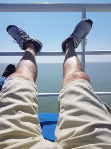 Mégagaf au repos