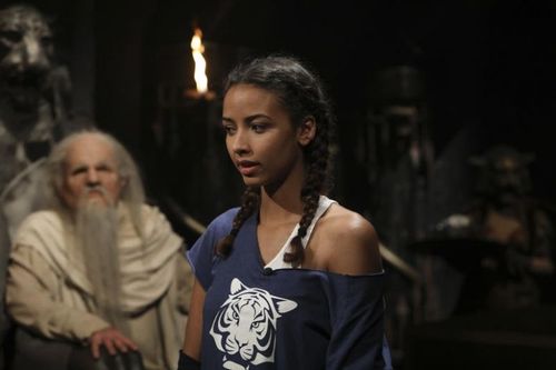 Flora Coquerel au Conseil