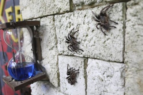 La clepsydre de l'épreuve de l'Araignée.
