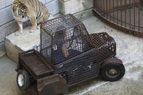 Enora Malagré en plein Safari