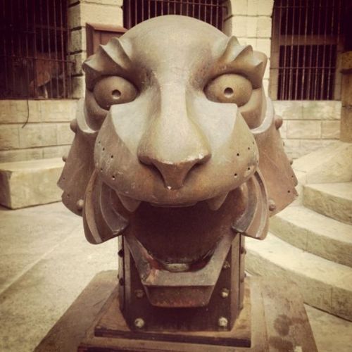Felindra, tête de tigre!