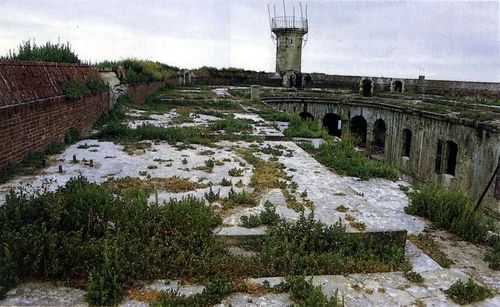 La terrasse envahie par la végétation