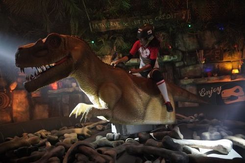 Allison Pineau dans le Rodéo-Dino