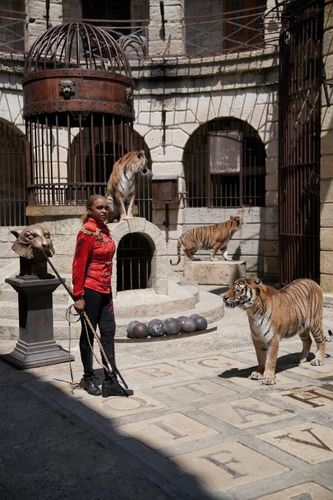Félindra et ses tigres