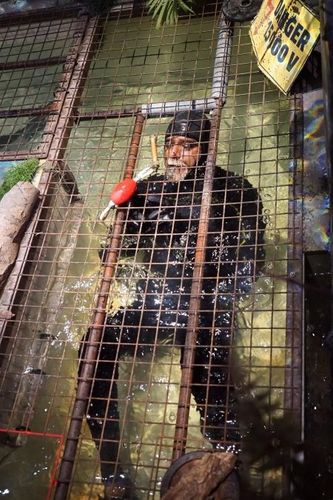 Satya Oblet dans le Croco-World