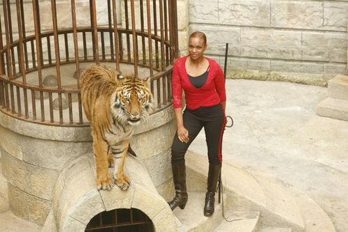 Félindra et un tigre dans la Salle du Trésor