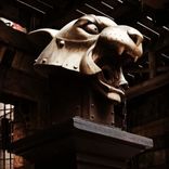 Une tête de tigre